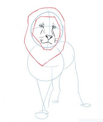 cartoon-lion-5-how-to-drawشیر