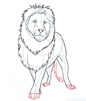 cartoon-lion-7-how-to-drawشیر