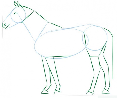 realistic-horse-standing-3-how-to-drawاسب