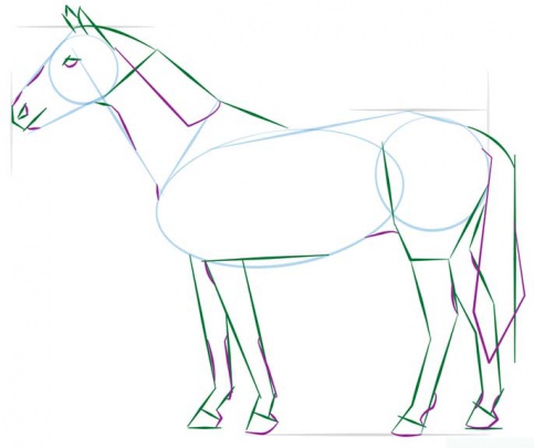realistic-horse-standing-4-how-to-drawاسب