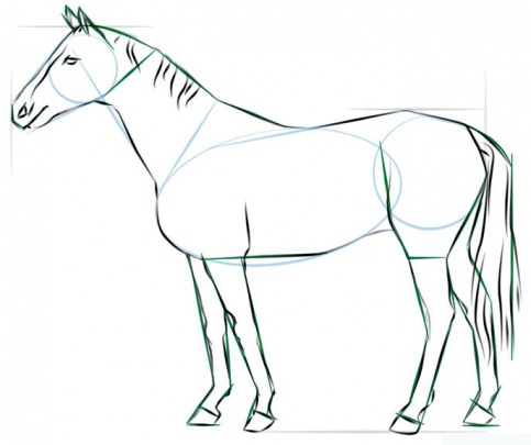 realistic-horse-standing-5-how-to-draw
