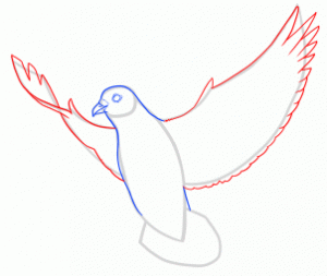 ۴آموزش نقاشی کبوتر