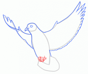 آموزش نقاشی کبوتر۵