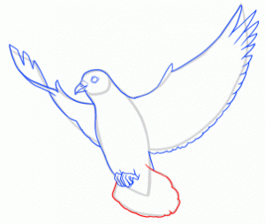 آموزش نقاشی کبوتر۷