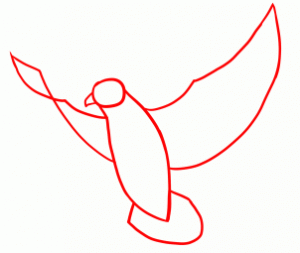 آموزش نقاشی کبوتر