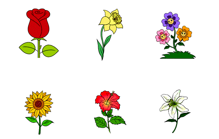 انواع گل ساده نقاشی شده