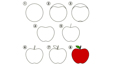 نقاشی گام به گام سیب