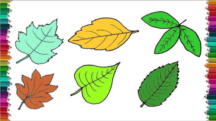 نقاشی انواع برگ با رنگ آمیزی