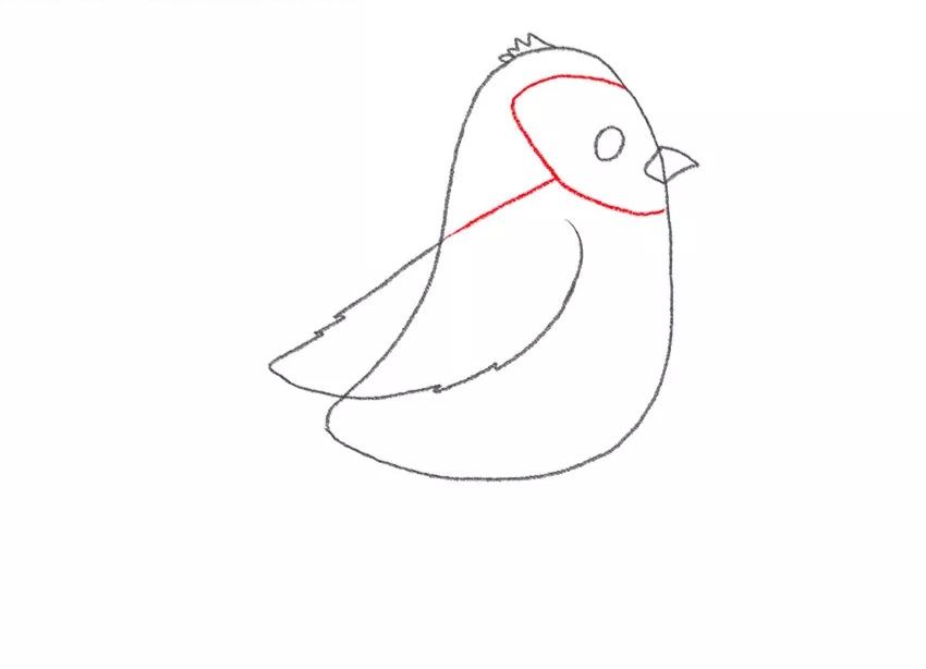 C:\Users\123\Downloads\4-how-to-draw-a-baby-sparrow.jpg.jpg