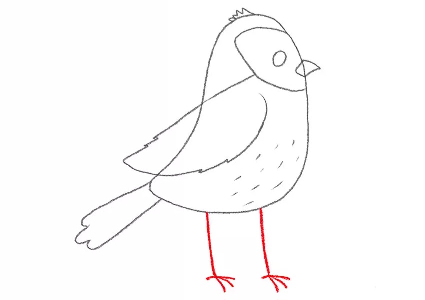 C:\Users\123\Downloads\6-how-to-draw-a-cute-sparrow.jpg.jpg