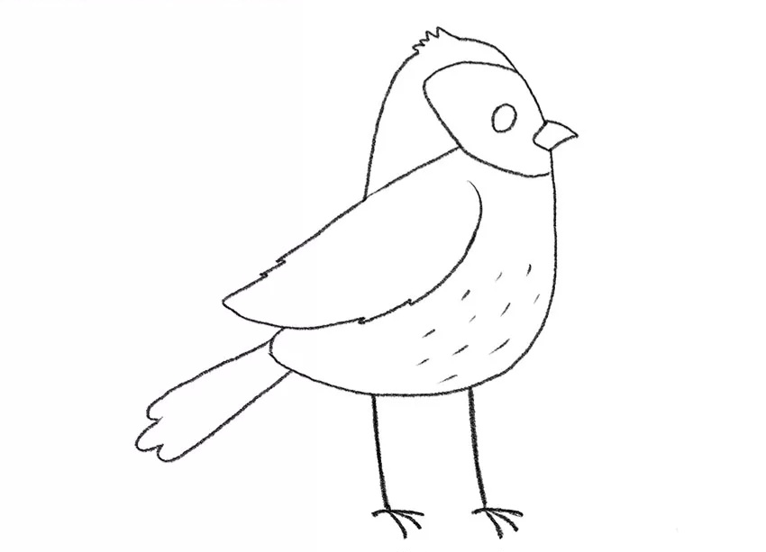 C:\Users\123\Downloads\7-how-to-draw-a-cartoon-sparrow.jpg.jpg