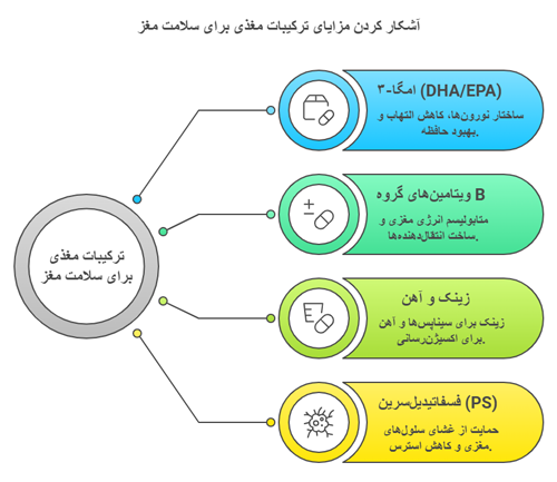 حافظه حافظه | مکمل