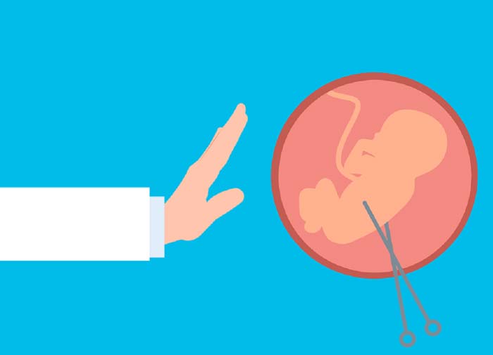 بارداری | جنین