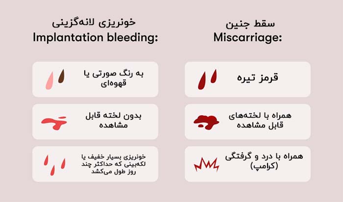 بارداری | جنین