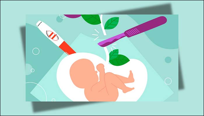 بارداری | جنین